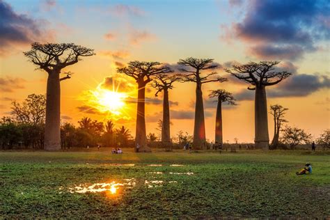 Voyage à Madagascar